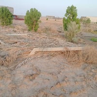 البصرة • ربع دونم و١٣٥م • عقد زراعي