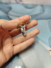 داودي أحمر • توصيل مجاني • حجز خاص