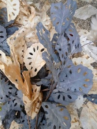 أغصان ورد • للكوشات • توصيل