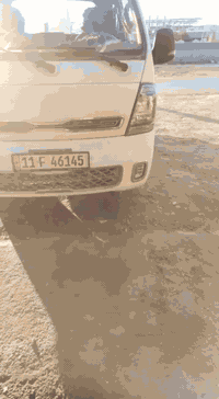 دوشمة لكافة أنواع السيارات الحمل والخصوصي التاجي قرب مطعم أبو علي مجاو...