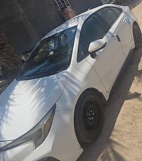 07750361936بيع أو مراوس بغداد, العراق