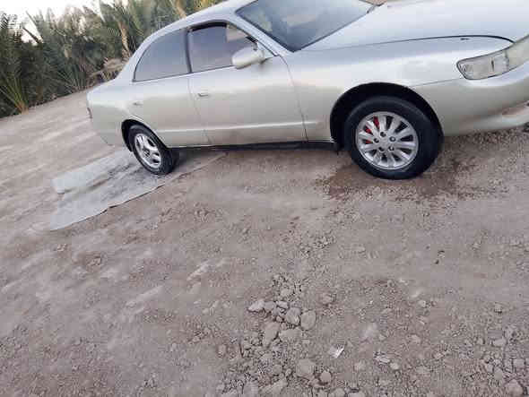 سلام عليكم للبيع فقط شيزر نفخ مكفوله من ضربه ونقل جثه سنويه مجدد لل 27 رقم بصره راعيه جاري مكينه وكير فيفيتي كهرائيات كله شغاله)) علمن سياره كصه جنطه فقط سعر28 وبيه مجال للشراي      مكان بصره قضاء المدينه)   الرقم ***********
