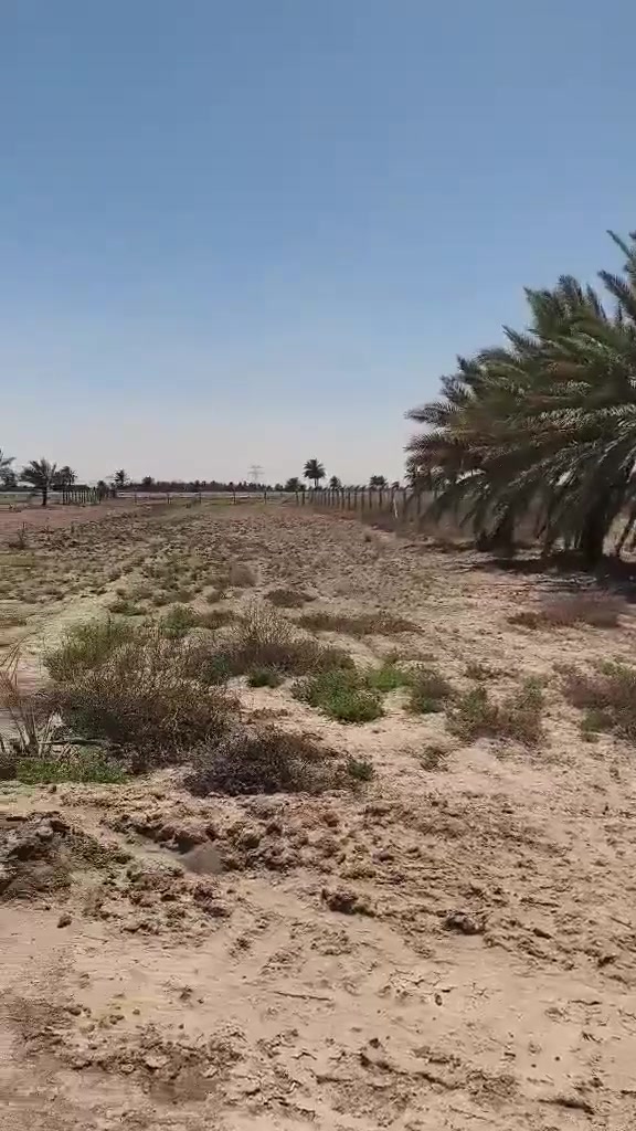 السلام عليكم عرض مميز خمسه دونم  بسعر مناسب جدا خلف جامعه بابل منطقه ربع سعود ..  طابو زراعي سند25
يا الله ⬇️
✅المساحه/خمسه دونم طابو زراعي سند 25..
✅الواجهه/100متر تقريباً وأكثر..
ما تبقى نزال يوجد بها مرتسم وسند حديث...
✅الخدمات متكامله ماء وكهرباء وماء سقي يوجد بها تبعد حوالي 500متر عن التبليط مال طريق ربع سعود ..
✅سند الأرض منفصل باسم شخص واحد تحويله مباشر للمشتري بعد الاتفاق والمكاتبه..
✅للاستفسار اكثر ومعرفه الاسعار زياره مكتب الهندسي للعقار الكائن حله تاجيه قرب بيت النائبه..
✅او الاتصال على الرقم التالي ⬇️⬇️📞 
✅#الرقم***********..
الاتصال بنا على الرقم مباشره من دون خاص أو تعليق وتعرفون السعر وكل التفاصيل...
⬇️فيديو للارض⬇️
