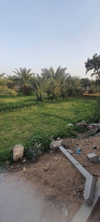 بستان بلمزبانيه • ١٠٠٠م • طابو زراعي