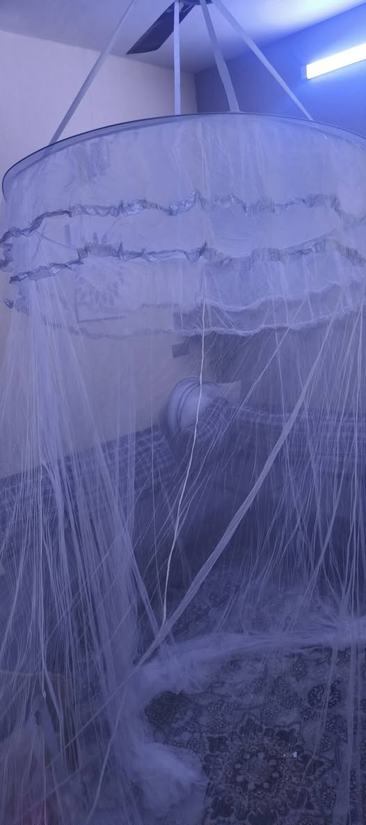 مقولة محد يدور ناموسية بهالجمال ب١٠ بس 😕


**إذا كنت صاحب هذا الإعلان وتريد حذفه لأي سبب، رجاءا أرسل رسالة إلى الدعم الفني**