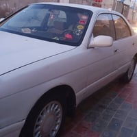 بدون صبغ • طخة خفيفة • كربلاء حي النضال