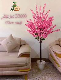 شجرة زينة • ١٧٥سم • النجف