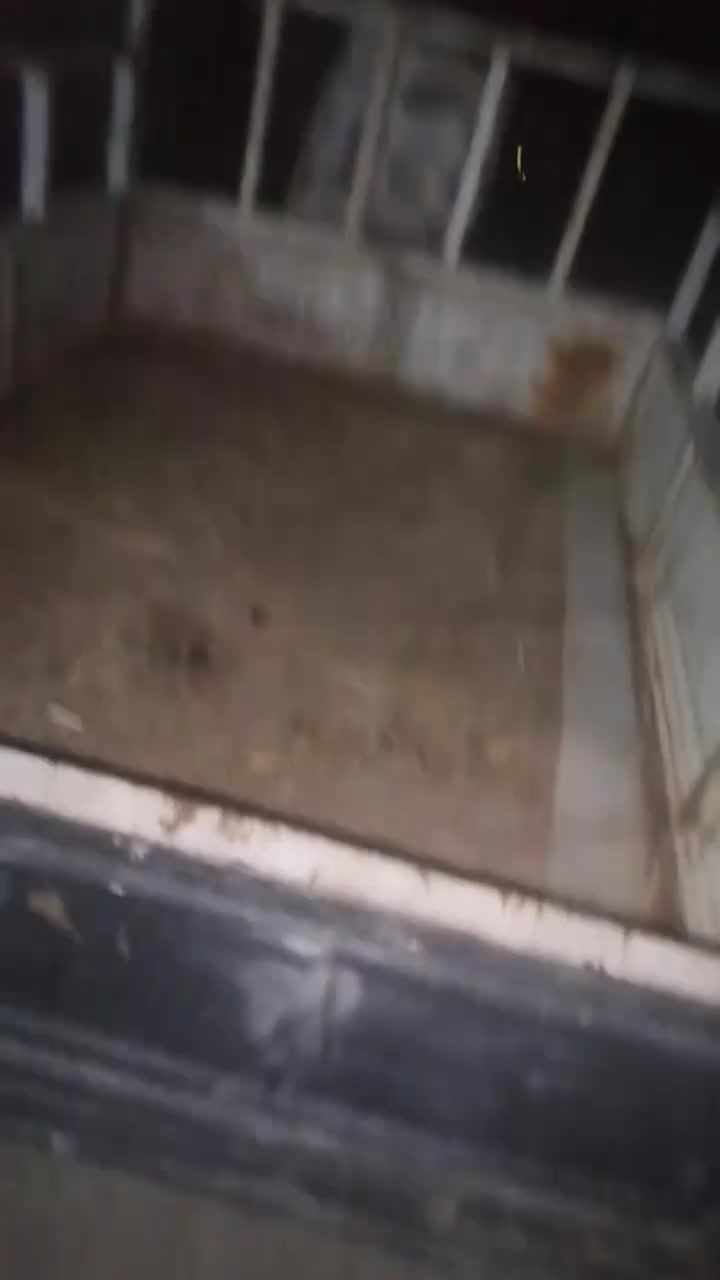 ستوته البيع ادوات ام تي ار  محرك حلو ناعمستوته مكفول من شاصي مكفول من الحيم بس بدي بهاي صفه بيه خياس كسن لطش دبلات يشتغلن كهربيت شغله باتري بيه  كامل مكاني البصره قضاء الكرنه سعر500بيه مجال ريده يتاصل عله هاذ رقم  ***********
