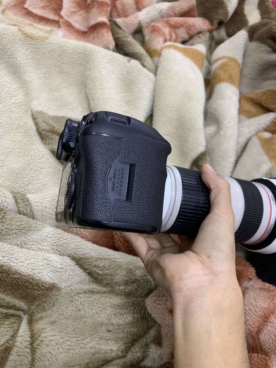 كانون 7d مارك تو شتر 24 كامره كلش نضيفه بطاريات ثنين + عدسه 70/200 دبل استبلايزر مو العاديه  بيه فقط فطر ما مئثر ع كلشي ونضيفه وكلشي ع فحص 
شعندك مراوس اعرض سوني نيكون كانون


**إذا كنت صاحب هذا الإعلان وتريد حذفه لأي سبب، رجاءا أرسل رسالة إلى الدعم الفني**