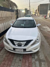 سوناتا • ٢٠١٣ • بها صبغ