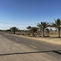 ٦٠٠م • طابو زراعي • مجاور جامعة بابل