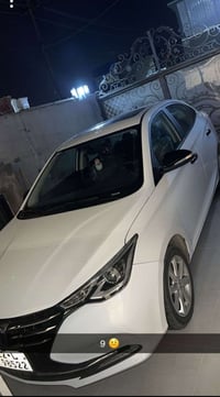 شانجان • ٢٠٢٥ • رقم اربيل