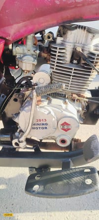 ستوته • موديل ١٢ • أوراق أصلية