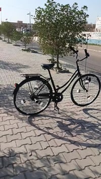 باسكل بناتي • ياباني 2021 • بغداد الحسينية الراشدية