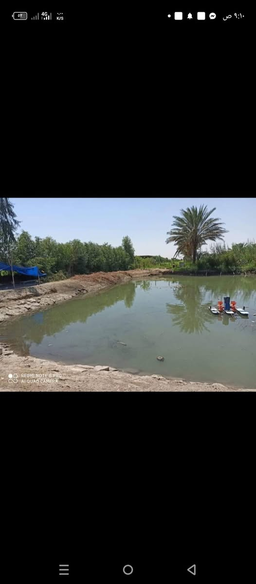 السلام عليكم مزرعه للبيع مساحته أربعه دونم تحتوي على بيت وحديقة ومحمية طيور وبحيرة أسماك خدمات كامله ماء كهرباء تبليط للباب العنوان حله منطقة إبراهيم الخليل عليه السلام تفاصيل *********** بي واتساب أو خاص موجود
