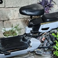 القنفات • ١٠نفرات • دراجة شحن