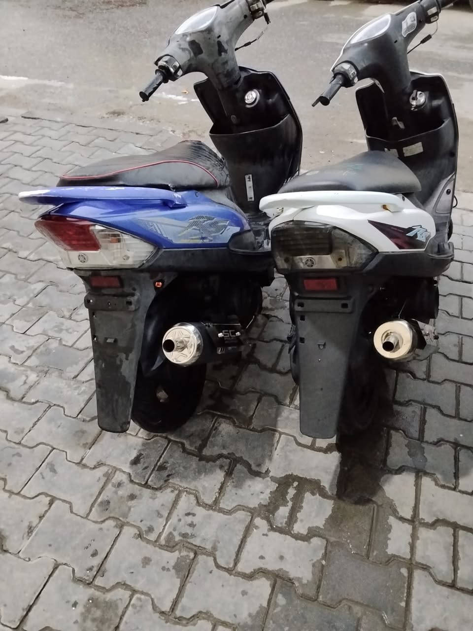 سلام عليكم للبيع ماكسات رمبه كاملات مَہטּ كلشي سلف هندر اشاير  كزوزات رياضي  نضيفات بَـ معنا الكلمه شلعه ومعدل شلعه تاكل الكاع تجي وتفحص بيدك. 
 سعر الواحده مليون و بيه مجال 
مكاني البصره 5ميل 
استفسار وتساب او تصال 
***********
