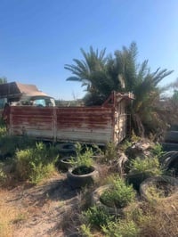 بدي قلاب • بدون مجموعة • حالة جيدة