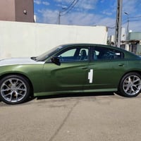 جارجر • زيتوني • ٢٠١٩