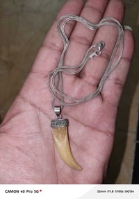 للبيع زنجيل فضه +عطفه مكاني العبيدي واتساب 07701231244
