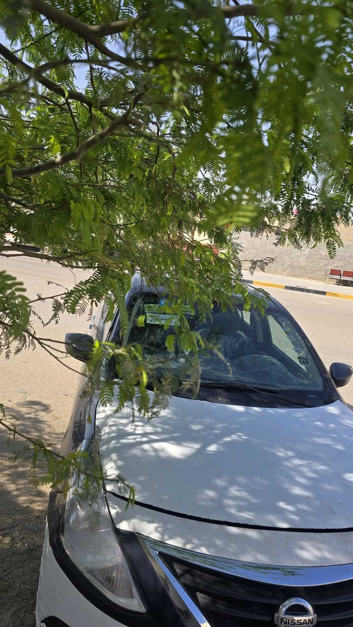 السلام عليكم
من رخصة الادمن 
فيرسا ١٥ للبيع امريكي 
السعر ٧٠ وبيها مجال ابيع كوم حديد على وضعها تجي تشوفها وبخدمتك 
عنواني بصرة كرمة علي 
للاستفسار خاص ***********
