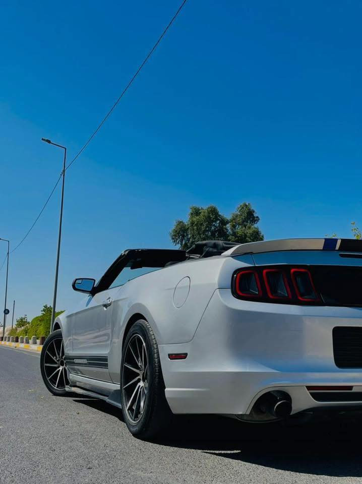 للبيع او مراوس برياضي
موستانغ ٢٠١٤  🐎السعر (١٠٥)💰
 صبغ ٣ قطع بنيد وجاملغ خلفي وصندوك بدون شاصي ولغد
 ماشية 110 الف  km ❤️
عليها تهبيط +دعاميات جديدة +ويالة فيرادة ١٨ تو سايز
مكينه كير اكسل تبريد  حدادية ١٠٠٪؜
عليها تفريغ فقط تراي زيرو كلش 🚀
مكاني بغداد الوزيرية 

***********
