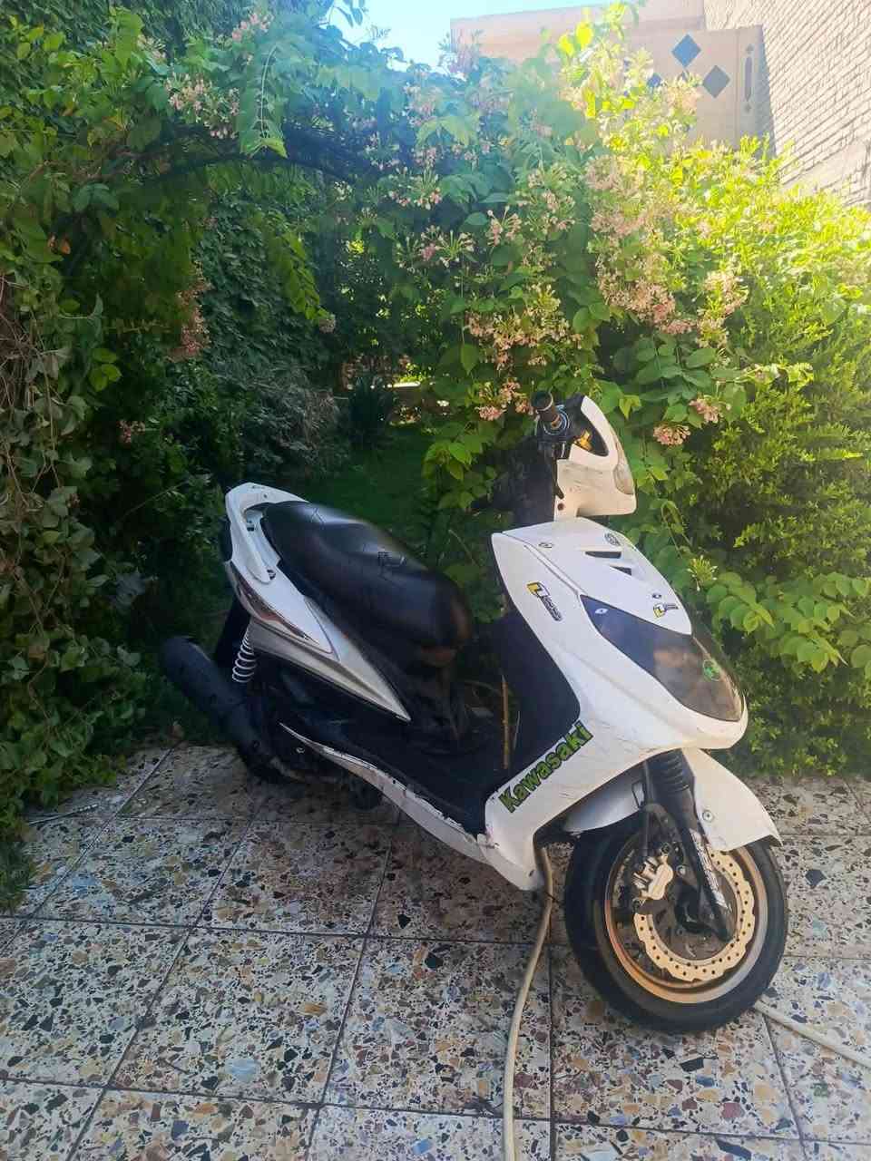 سكنس فحل مكان بغداد الجديدة سعر ٤٠٠ موبايل ‭***********‬
