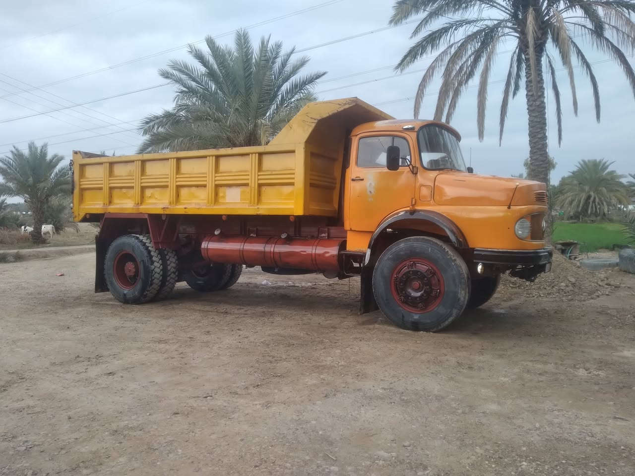 البيع موديل ٨٢ طويله بلادي رقم ***********ر ***********
