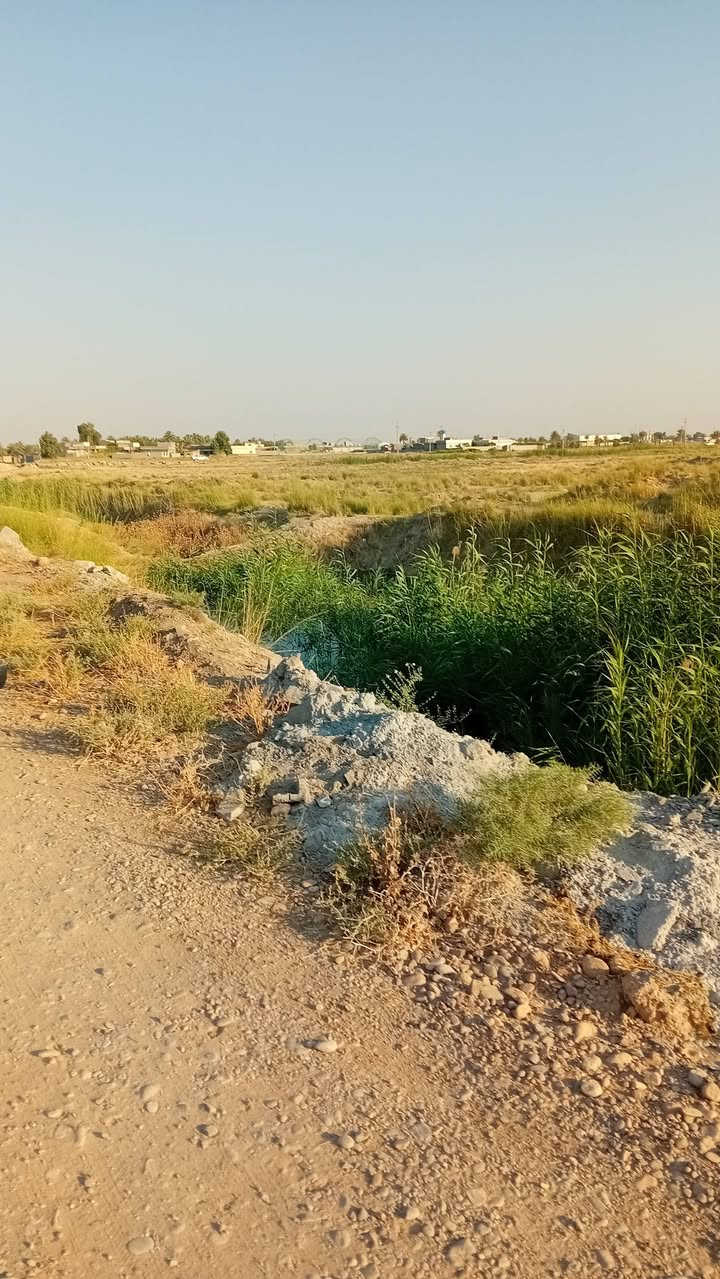 أرض زراعية ٢ دونم ونص للبيع في منطقة بابلان تبعد ٢٥٠م عن الشارع العام القديم للبيع ***********
