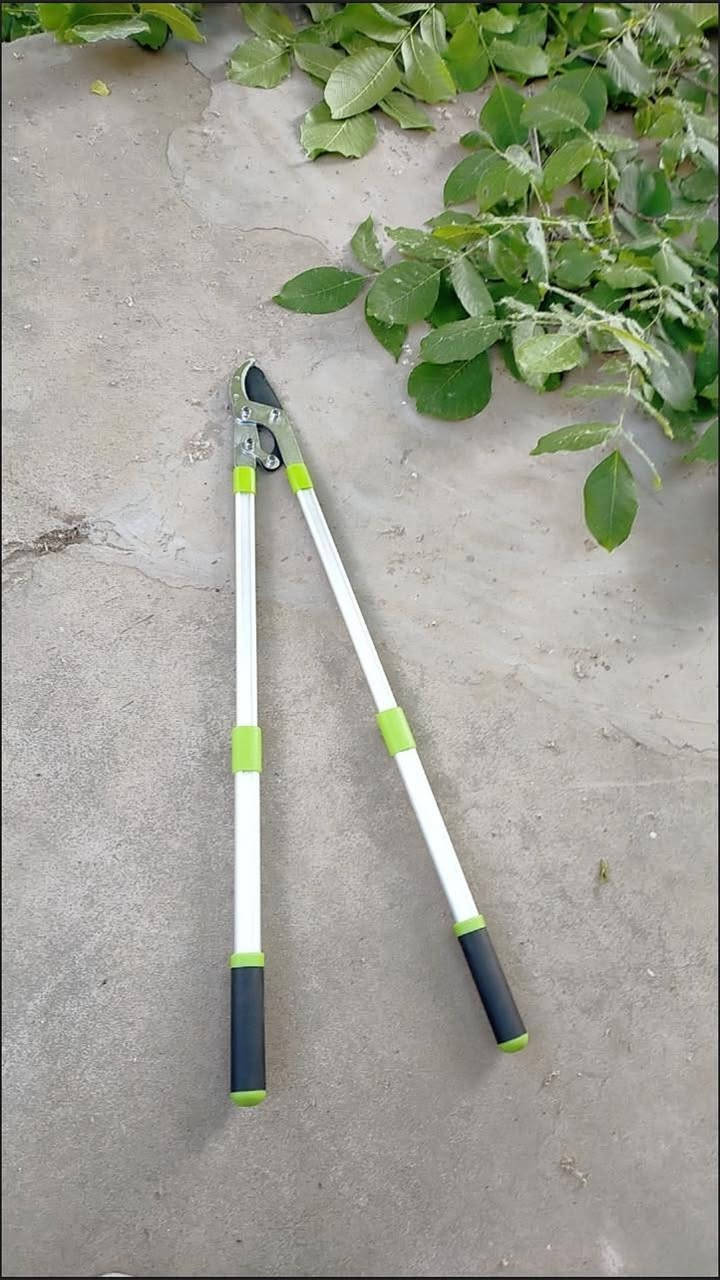 Chinese factory manufactured gear labor-saving thick branch pruning shear
Max cutting diameter up to 55mm, effortlessly cut thick branches
Stable supply with favorable price for bulk orders
Welcome your inquiry and negotiation

#PruningShear #ThickBranchCutter #GardenTools #ChineseFactorySupply #GearShear #TreeTrimming


**إذا كنت صاحب هذا الإعلان وتريد حذفه لأي سبب، رجاءا أرسل رسالة إلى الدعم الفني**