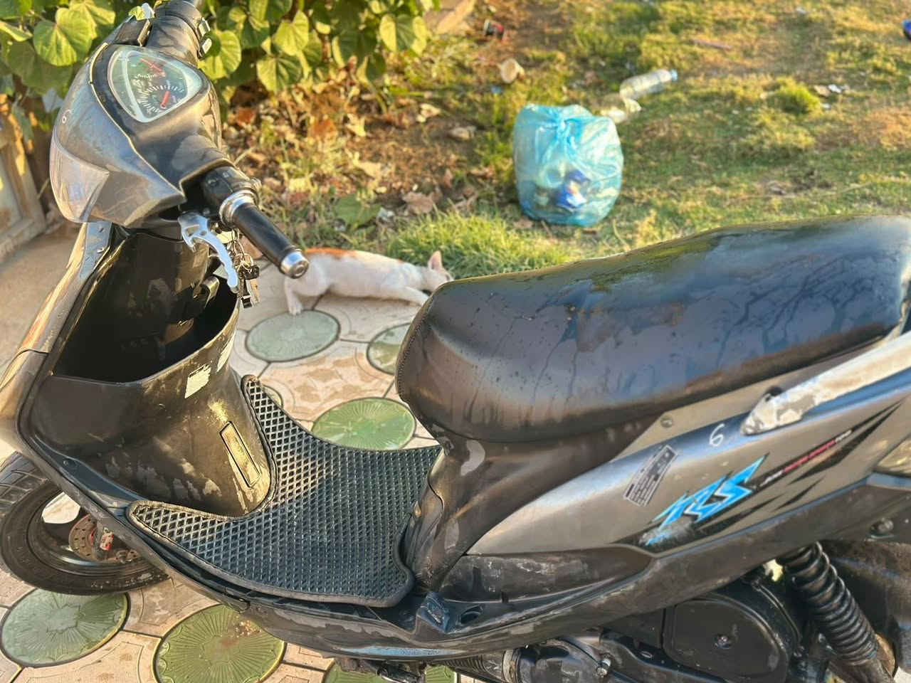 السلام عليكم درجه ماكس عدله للبيع الدرجه شلعه معدل الدرجه 49بلاديه السعر خاص هذا رقمي بي وتساب *********** مكاني حله شارع الكورنيش
