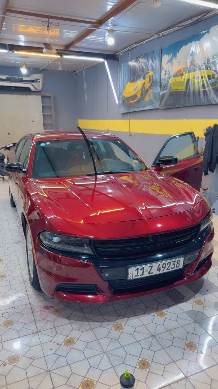 السلام عليكم 
جارجر موديل 23 اصل رقم بغداد بأسمي السياره داخله تقرير تعمل وتسير  كفاله عامه من الضربه والصبغ والتبديل 
عدئ بارد بجاملغ الامامي شويه بسيط مامبين ماشيه 32 الف مايل مواصفات بلاك توب معرفه كير محرك كفاله 
مكاني ناصريه شارع بغداد رقم ***********
خاص مقفول 👍🏻
