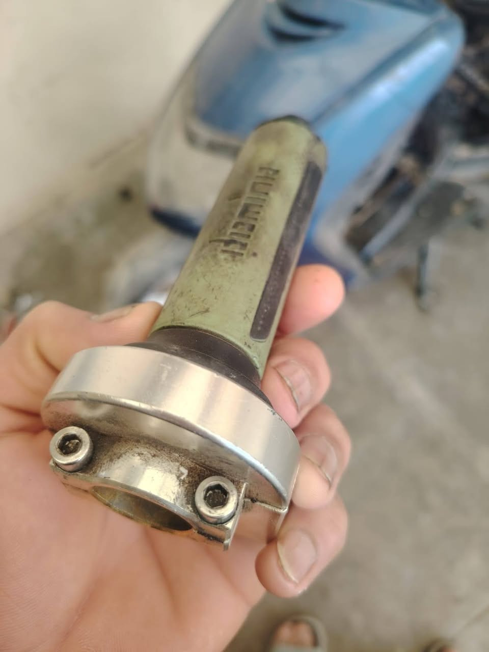 سلام عليكم شلونك غراص سكنس اصلي للبيع الصالنصه مال سكنس جوه السوك مكاني بغداد الشعله *********** وتساب او خاص
