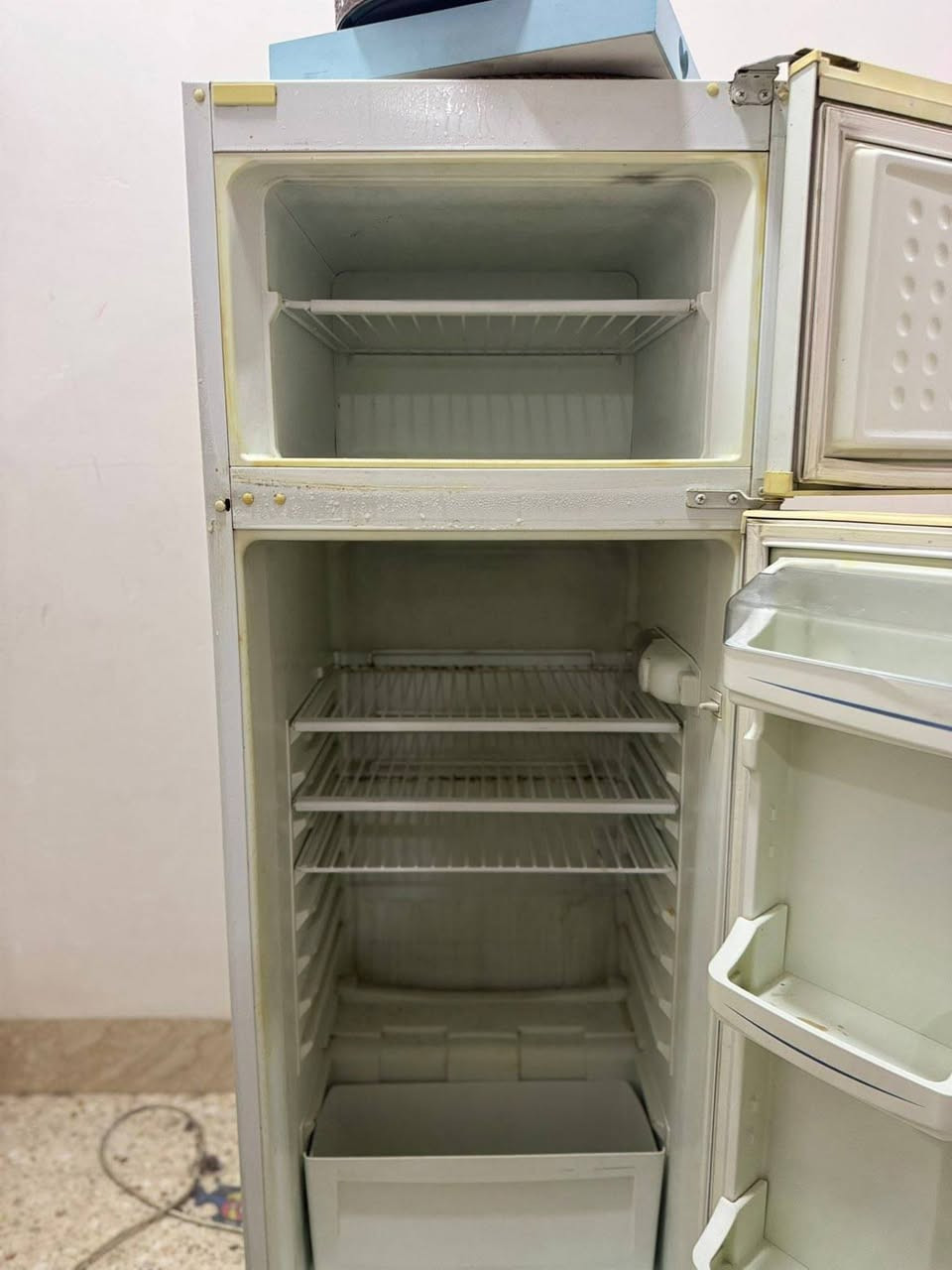 ثلاجة نضيفة حيل وضع شركة الحجم وسط السعر 100وبيها مجال
مايكرويف نوعية سانيو نضيف وشرط الشغل السعر 55


**إذا كنت صاحب هذا الإعلان وتريد حذفه لأي سبب، رجاءا أرسل رسالة إلى الدعم الفني**