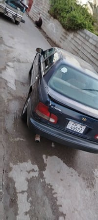 ١٩٩٥ • رقم ديالى • مكفولة