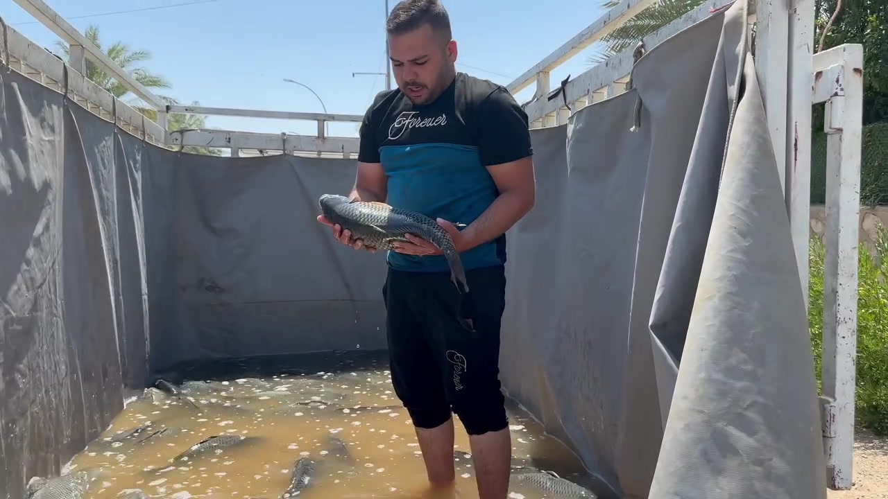 بسم الله مشاء الله🤲🏻
وصول وجبه جديده من سمك الأقفاص الأسود  سمك تازه وطيب اسماك الفلوجه 🦈🦈
سعر الكيلو 5000دينار فقط🏃🏼🏃🏼
متوفر الأن في أسواق النور للمواد الغذائيه🛒🛒
#العنوان_الأنبار_عنه_شارع_المصرف_مقابل_التربيه🚘🚖


**إذا كنت صاحب هذا الإعلان وتريد حذفه لأي سبب، رجاءا أرسل رسالة إلى الدعم الفني**