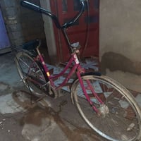 رخصة مدير الكروب • بسكليت • نجف مشخاب