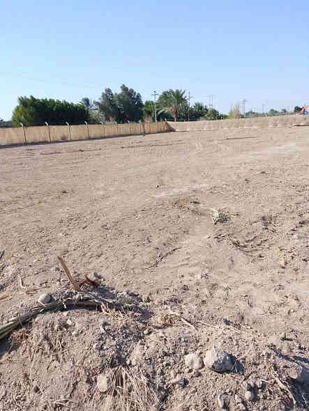 دونم طابو زراعي ٢٥ شاطيه للبيع على طريق موفقيه حي الشارع السياحي  للأستفسار 
***********
‏‪***********‬‏
