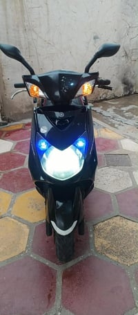 سكنز فحل نوزل. للبيع. شراي. لتصال عل. رقم. 07844666066