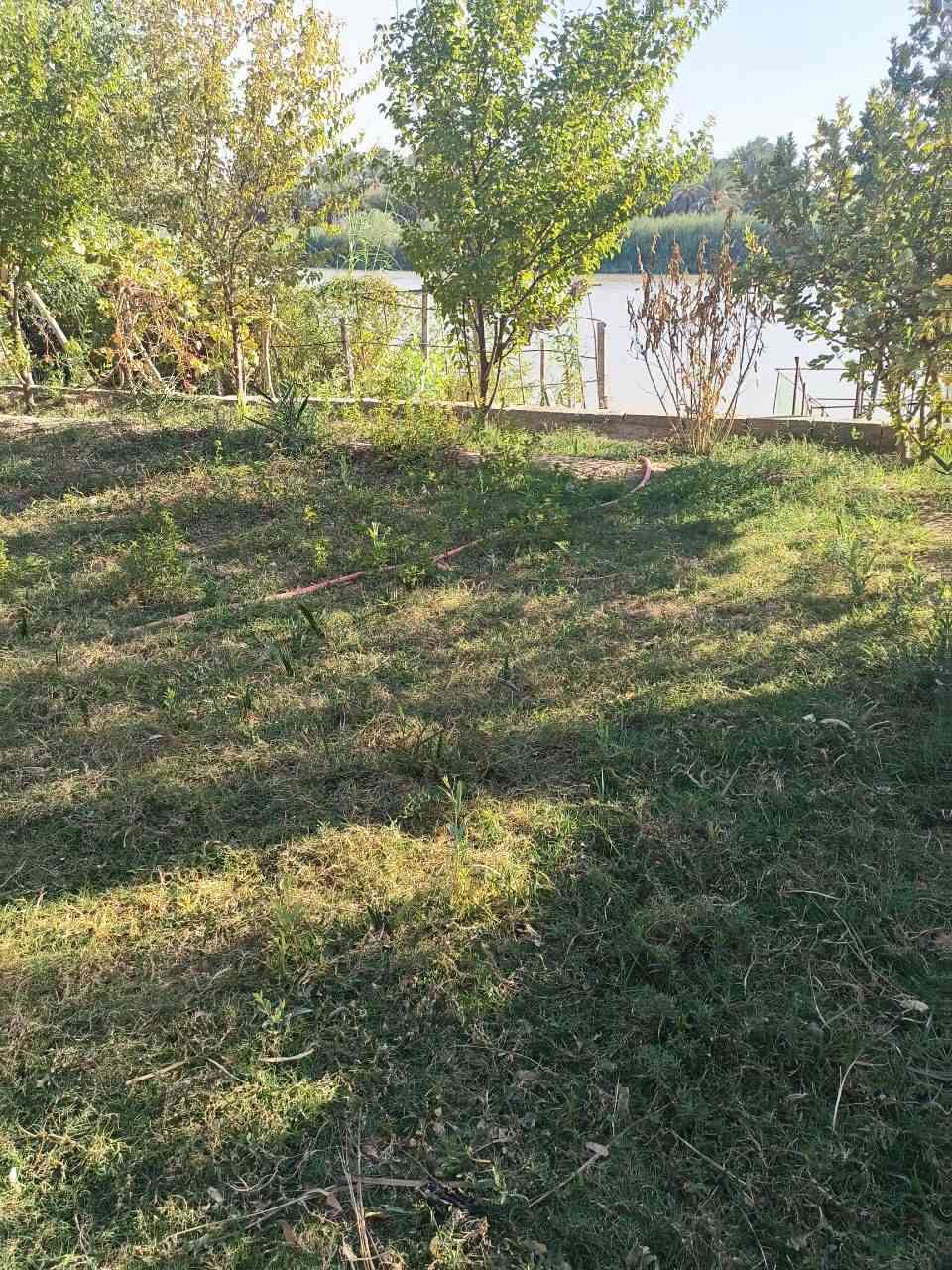 سلام عليكم ورحمه الله وبركاته 
نصف دونم مع بيت بنيان جديد سنه 23 الوجه مال نصف دونم 13 ونزال من سده لشط طابو صرف 25 على الشط مع حوض اسماك مع جميع انواع الاشجار المثمره 
العنوان 
ميسان بساتين دفاس قرب الاساله الماي ثانية قرب صوره الشهيد 
الاستفسار ***********
