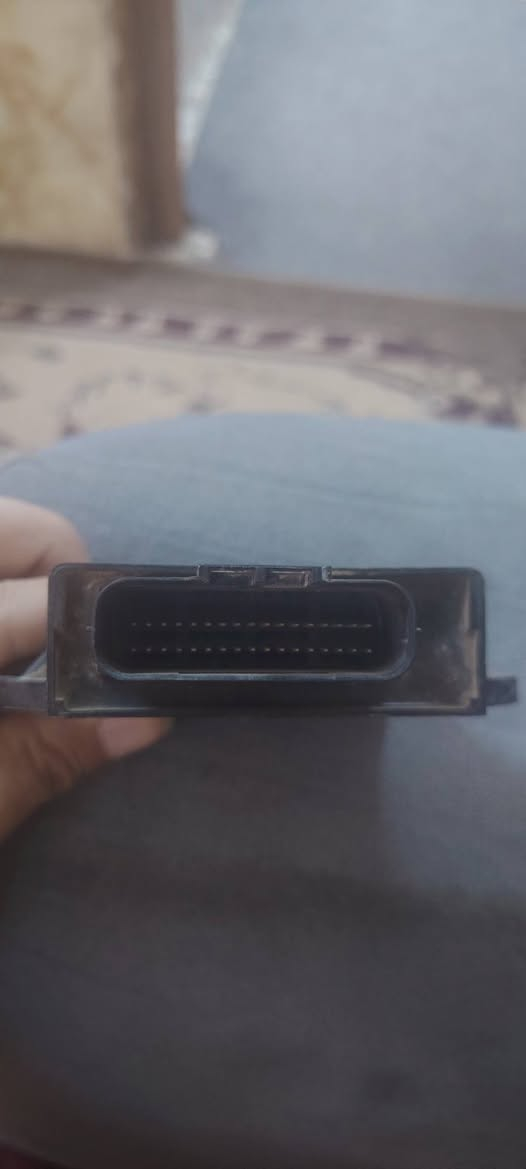 غراض سكنس عام نثيه فحل ثعلب
وعقول جمبع دراجات متوفره
*********** للاستفسار كل حاجه وسعره حبايب جوه  السوك تصفيه  الاسعار مناسبه
