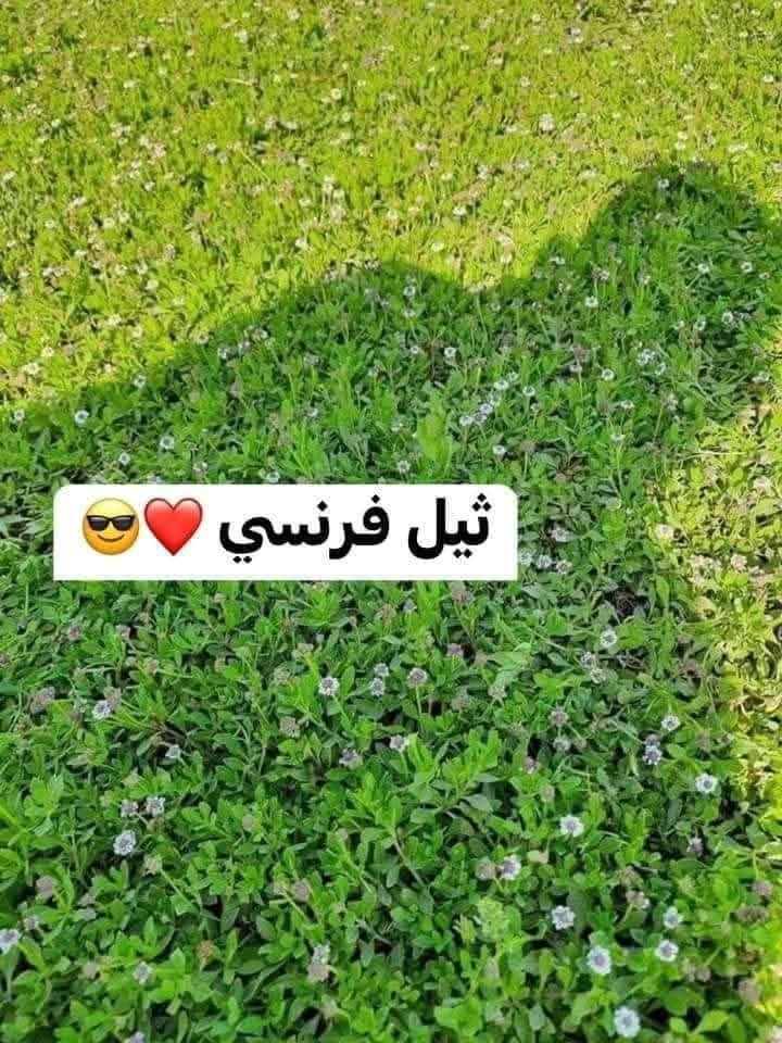 باسعار ثيل ديالى الطبيعي 🏡
أهلاً بكم في مجموعه مزارع ابو عباس  الثيل الطبيعي مزارع ديالئ  🌿🌱
 نقدم لكم افضل انوع الثيل الطبيعي عالي الجوده يتحمل كافه الضروف البيئية.🌦️🌞
دائم الخضرة🌿🌳 وباسعار تنافسيه ☘️❤️
#مستعدون لتجهيز وفرش الحدائق🏡 ودوائر الدولة🏡والمنازل🏡🏡
و تجهيز الملاعب🏟️ والمنتزهات الجودة العالية في العمل👷👷

مع خدمة التوصيل خلال24ساعه🚛🚛
الاسعار 💵💸 تختلف حسب الكمية 
للاستفسار الاتصال على : الرقم 
او التواصل مع الصفحه  او ارسال رسالة على الوتساب ‏‪***********

