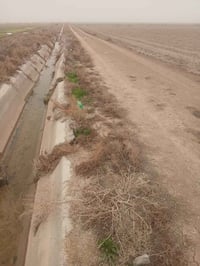 الصويره • ٢٠ دونم • سند ٢٤