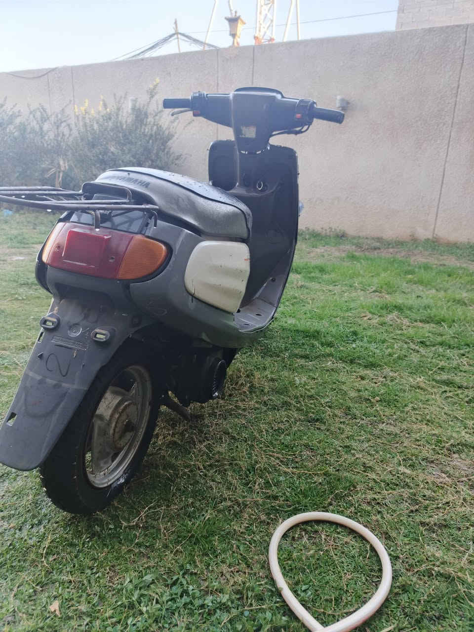 سلام عليكم دراجه منغولي لبيع نضيفه بس بيهه صالنصه نقص بس من زمان ما مشغله سعر 250 بيهه مجال رقم***********
