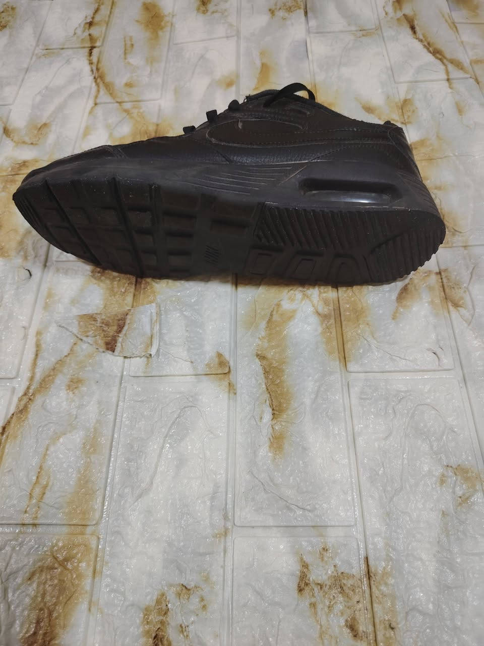 نايك باله جلد صناعه اندونيسيا قياس 44 تلبس 43 سعرها 12


**إذا كنت صاحب هذا الإعلان وتريد حذفه لأي سبب، رجاءا أرسل رسالة إلى الدعم الفني**