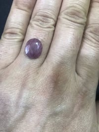 ياقوت اصلي • نوادر • مدينة الصدر