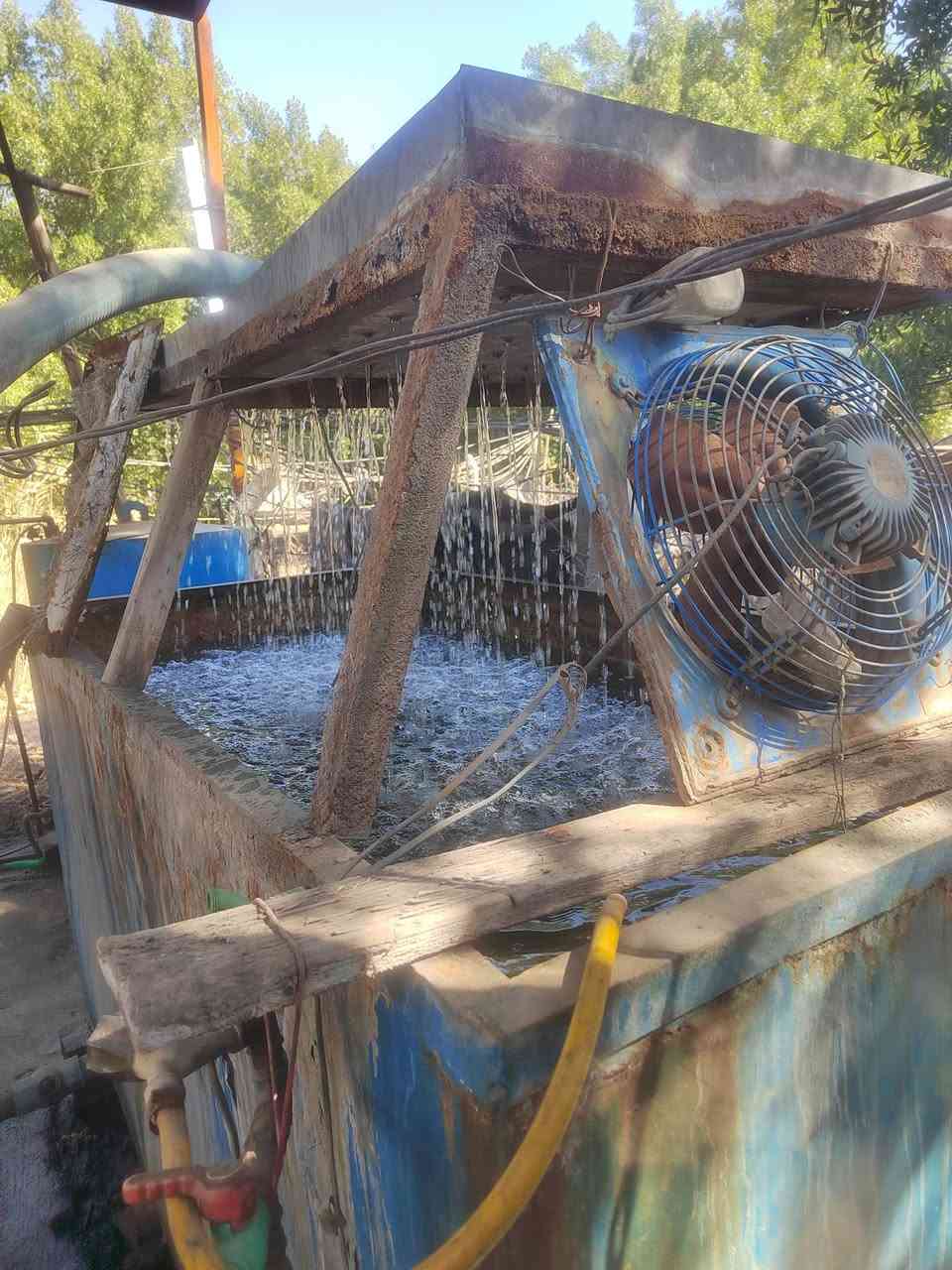 يا الله سلام عليكم مكينه راس توليد 250 وحوض كامله 30 وبيه مجال التفاصيل أكثر..... 0


**إذا كنت صاحب هذا الإعلان وتريد حذفه لأي سبب، رجاءا أرسل رسالة إلى الدعم الفني**