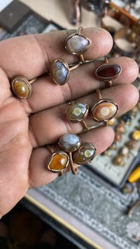 نواعم • ١٠ قطع