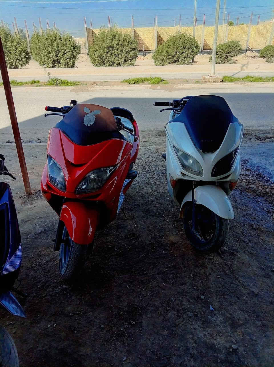 للبيع فورزات ٢ وحده صفر 8 وحده 9 مكفولات ثنينهن مكان ديوانية ***********
