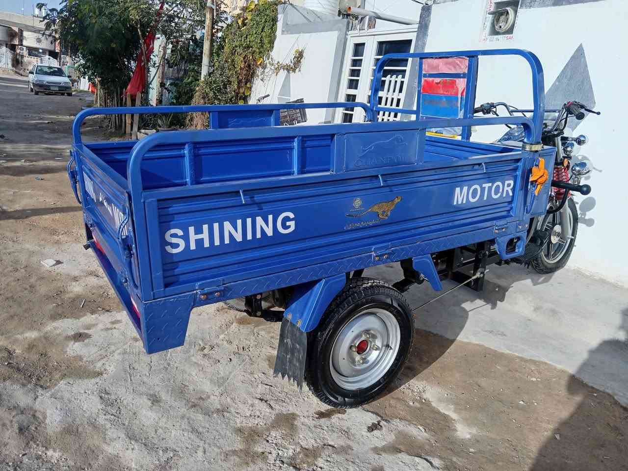 ستوته جمره البيع فحل رقم سنويه صارالهه شهرين من طالعت من الوكيل تصال ***********
